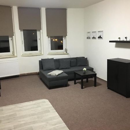 Apartmany U Muzea 德辛 外观 照片