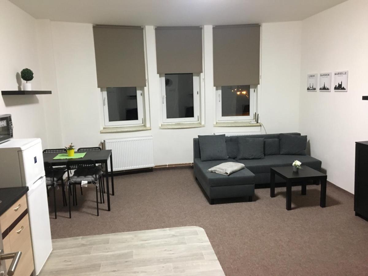 Apartmany U Muzea 德辛 外观 照片