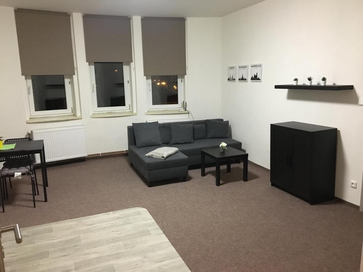 Apartmany U Muzea 德辛 外观 照片