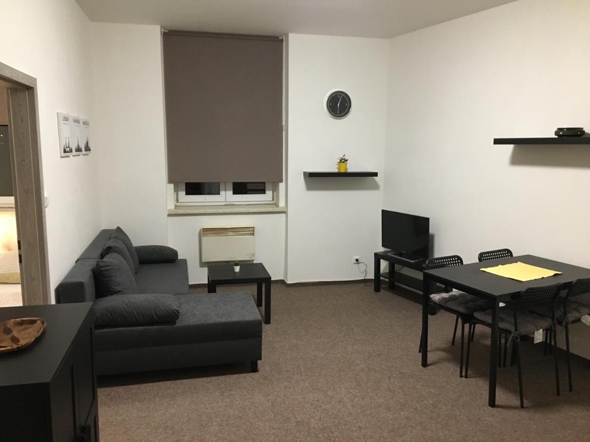 Apartmany U Muzea 德辛 外观 照片