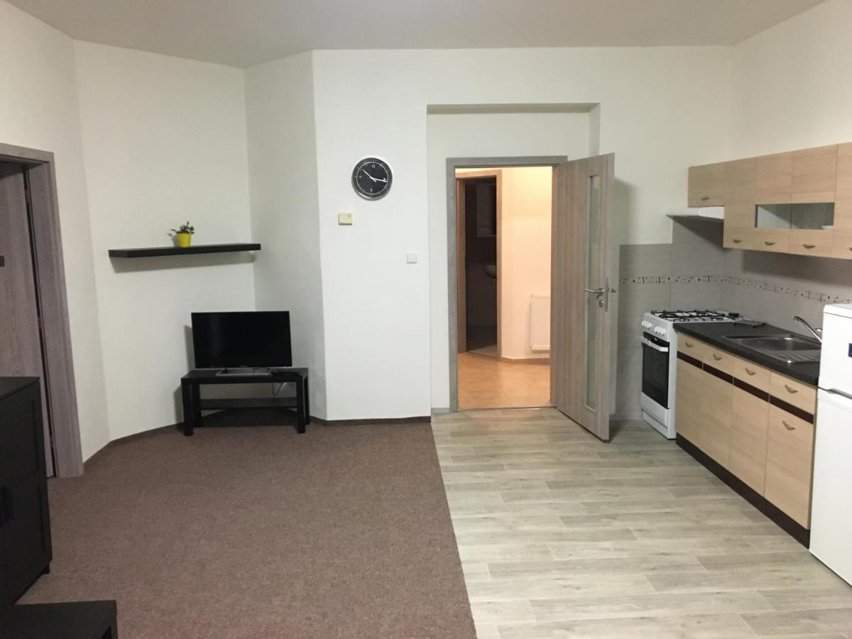 Apartmany U Muzea 德辛 外观 照片