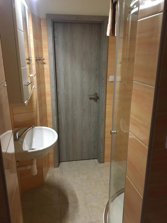 Apartmany U Muzea 德辛 外观 照片
