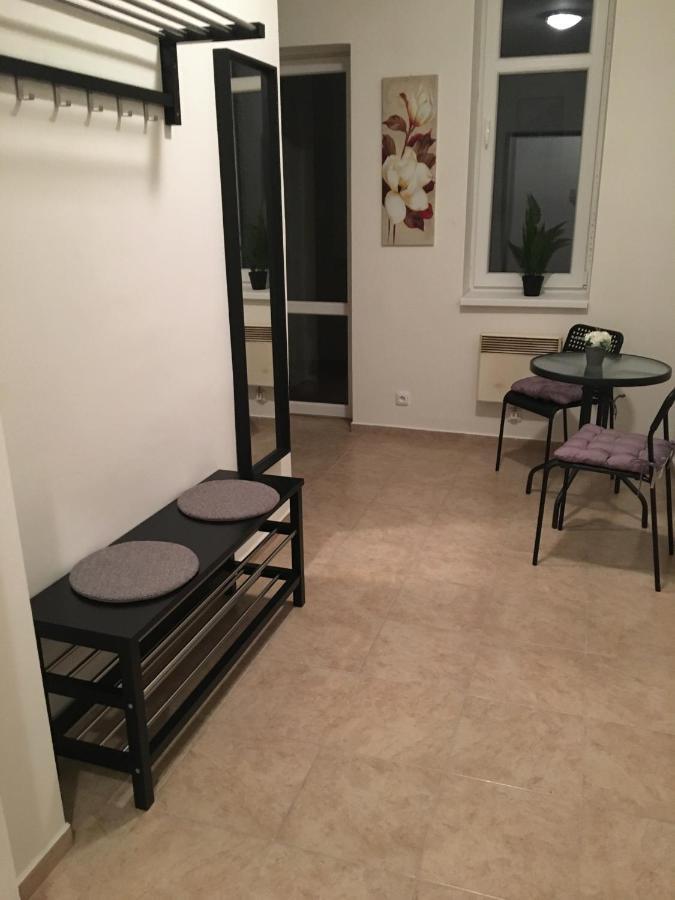 Apartmany U Muzea 德辛 外观 照片