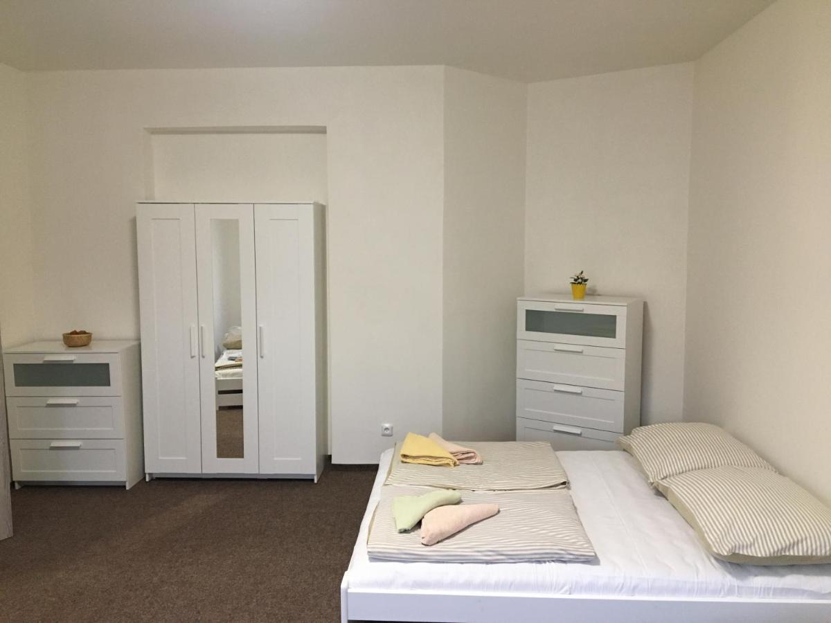 Apartmany U Muzea 德辛 外观 照片