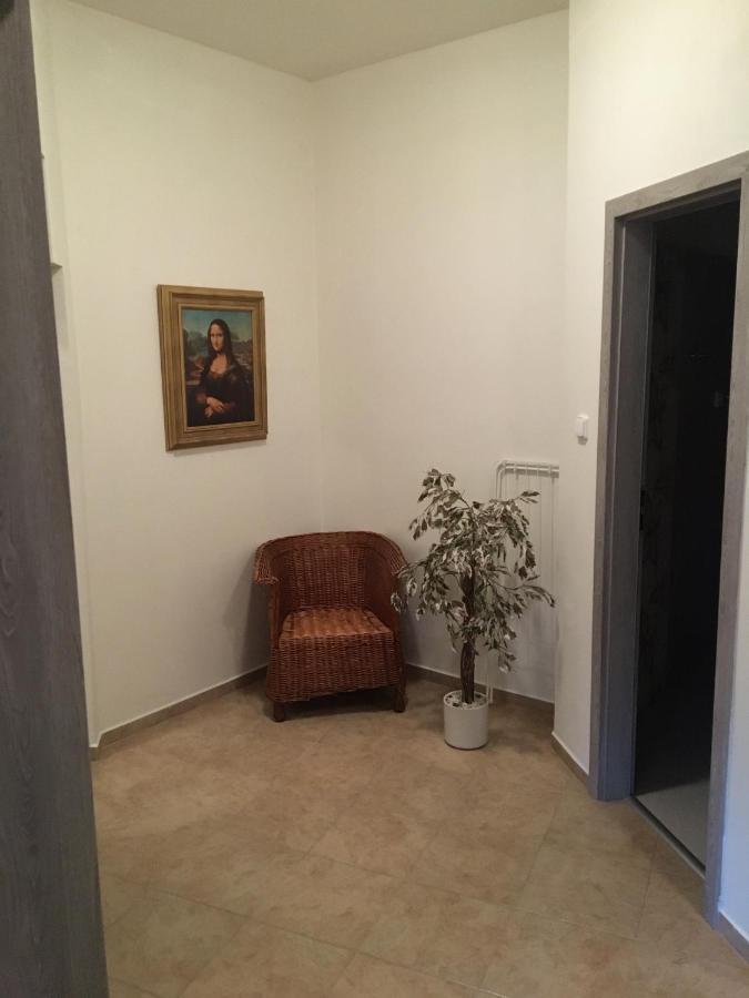 Apartmany U Muzea 德辛 外观 照片