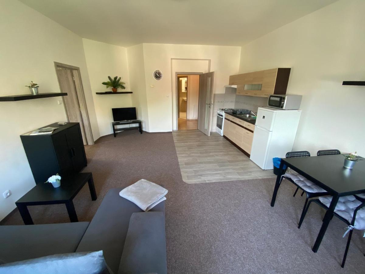 Apartmany U Muzea 德辛 外观 照片