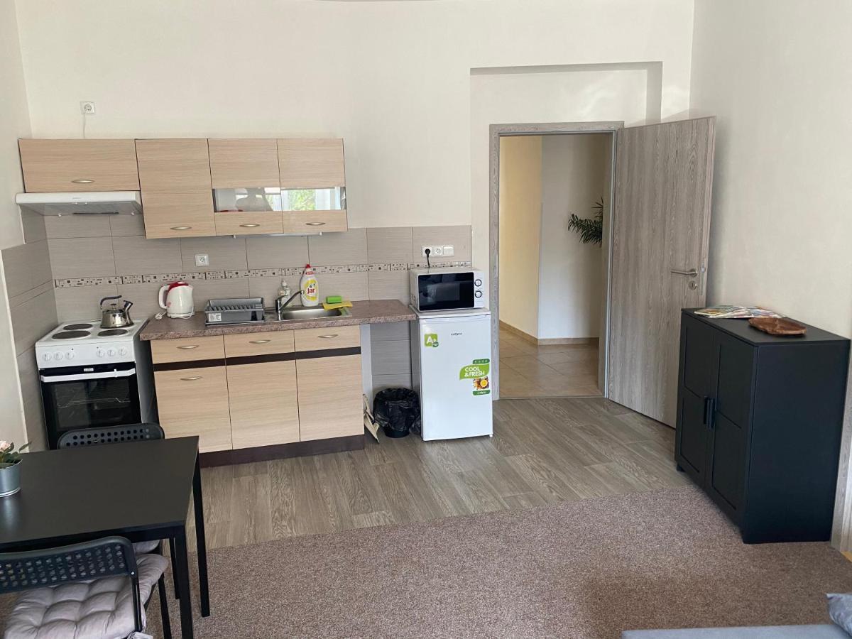 Apartmany U Muzea 德辛 外观 照片